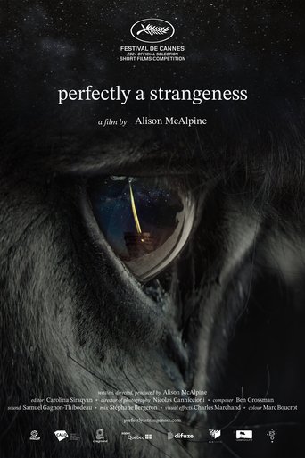 Watch Perfectly A Strangeness online